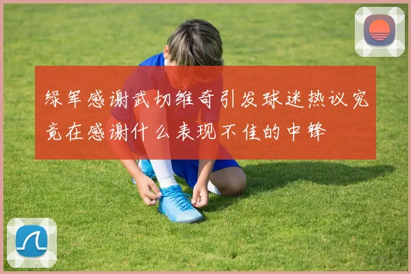 绿军感谢武切维奇引发球迷热议究竟在感谢什么表现不佳的中锋
