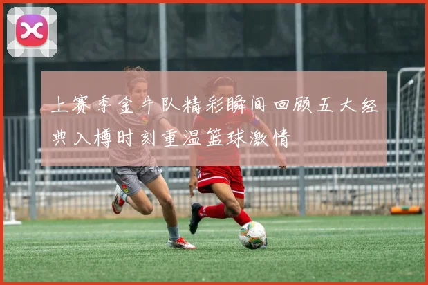 上赛季金牛队精彩瞬间回顾五大经典入樽时刻重温篮球激情