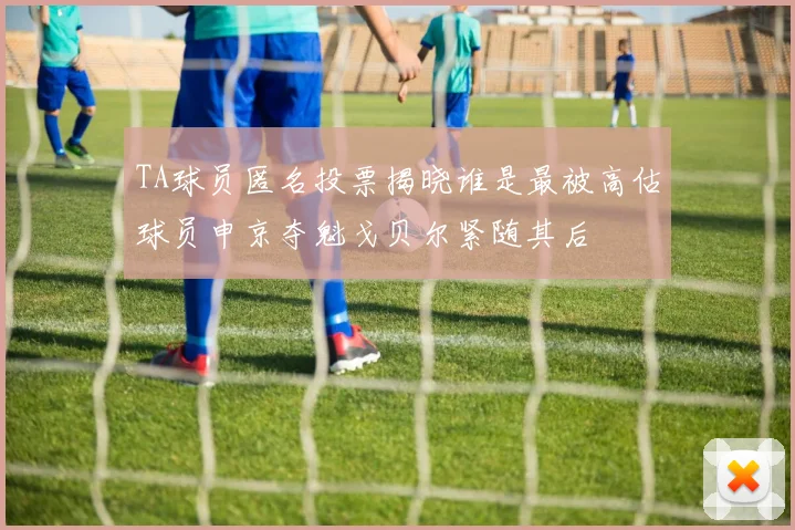 TA球员匿名投票揭晓谁是最被高估球员申京夺魁戈贝尔紧随其后